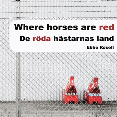 bokomslag De röda hästarnas land