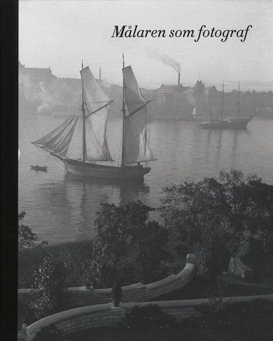 Målaren som fotograf, Inbunden