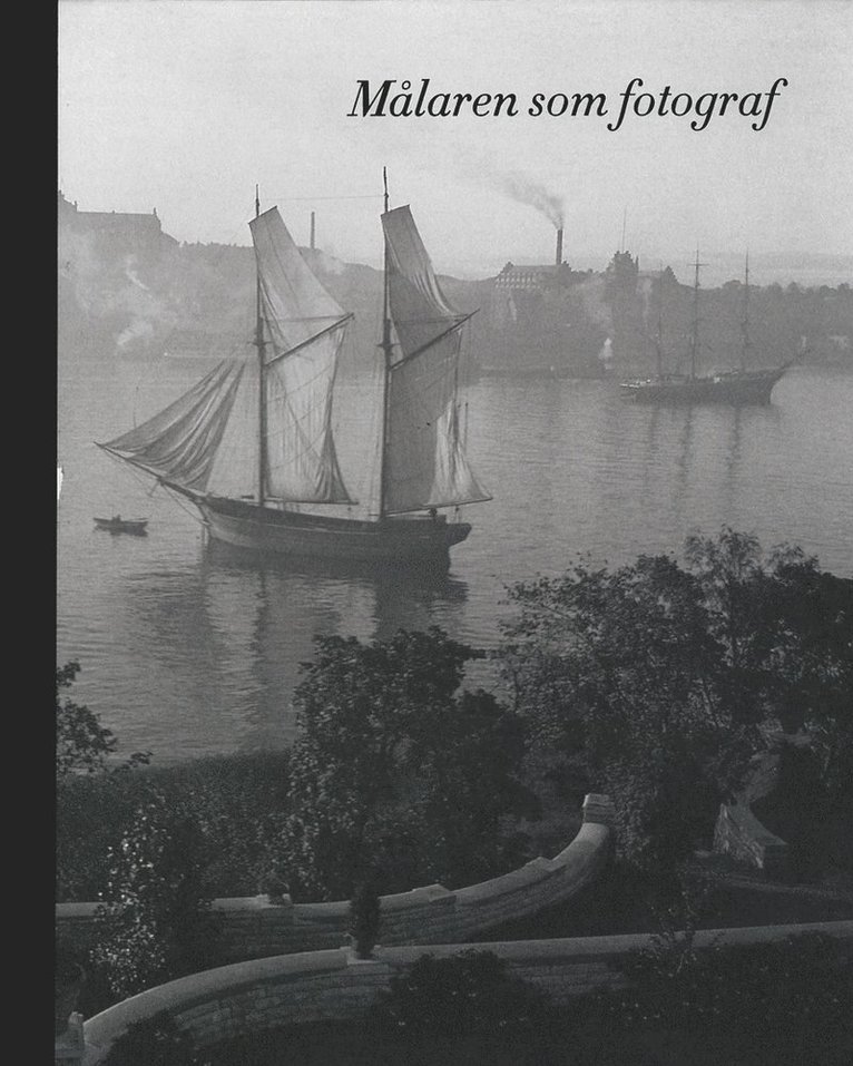 Målaren som fotograf, Inbunden