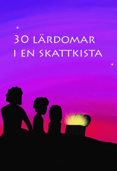 bokomslag 30 lärdomar i en skattkista