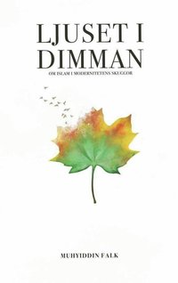 bokomslag Ljuset i dimman - Om Islam i modernitetens skuggor