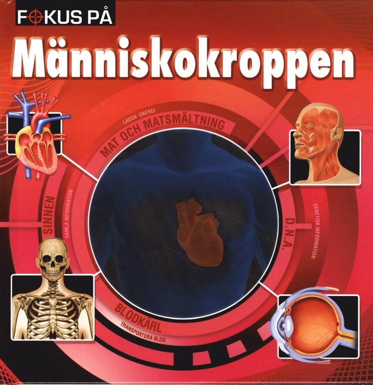 Fokus på människokroppen