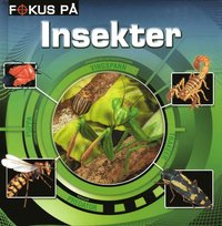 bokomslag Fokus på insekter