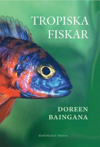 bokomslag Tropiska fiskar