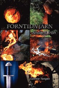 bokomslag Forntida Järn - Ancient Iron