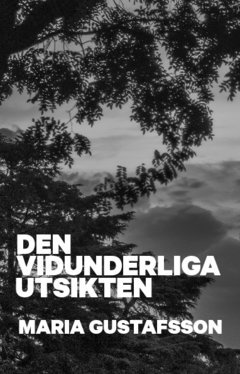 bokomslag Den vidunderliga utsikten