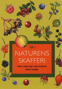 bokomslag Ut i naturens skafferi : våra vilda bär och frukter med recept