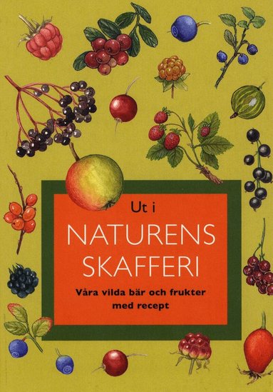 Gunnevi Bonekamp - Ut i naturens skafferi : våra vilda bär och frukter med recept, Häftad