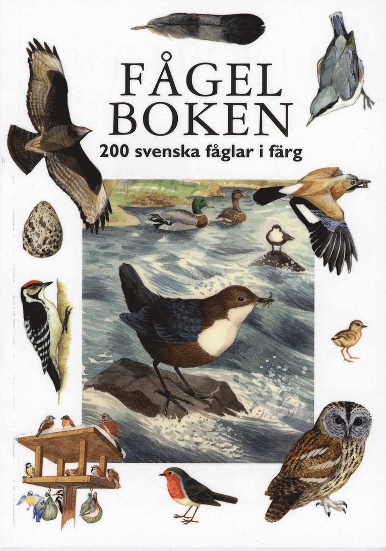 Sven Mathiasson - Fågelboken : 200 svenska fåglar i färg, Inbunden