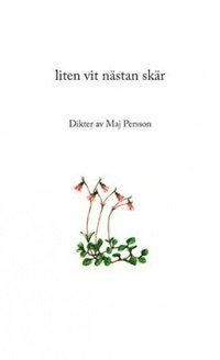 bokomslag Liten vit nästan skär