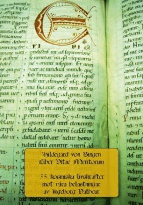 bokomslag Hildegard von Bingen: Liber vitae meritorum : 35 kosmiska livskrafter mot våra belastningar