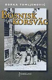 bokomslag Bosnisk korsväg