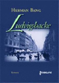 bokomslag Ludvigsbacke : roman