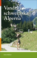 bokomslag Vandra i schweiziska Alperna
