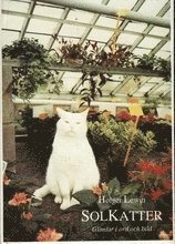 Holger Lewin - Solkatter : glimtar i ord och bild, Inbunden