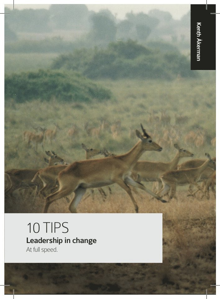 Leadership in change : at full speed 1