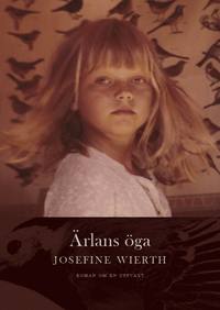 bokomslag Ärlans öga : roman om en uppväxt