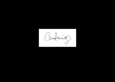 bokomslag Centauring - The Book