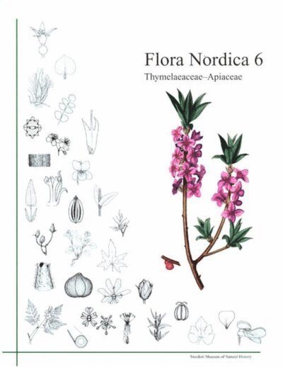 Flora Nordica 6 1