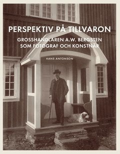 Hans Antonson - Perspektiv på tillvaron : Grosshandlaren A.W. Bergsten som fotograf och konstnär, Häftad