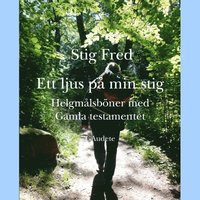 bokomslag Ett ljus på min stig : helgmålsböner med Gamla Testamentet