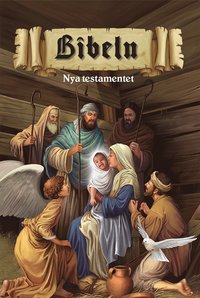 bokomslag Bibeln Nya Testamentet