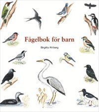 Birgitta Ahlberg - Fågelbok för barn, Häftad