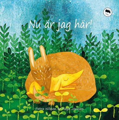 Petra Nilsson - Nu är jag här!, Inbunden