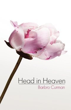 bokomslag Head in heaven