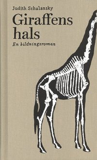bokomslag Giraffens hals en bildningsroman