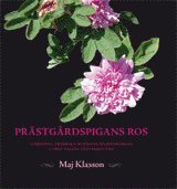 bokomslag Prästgårdspigans ros: Albertina Fredrika Burmans bildningsresa genom 1860-t