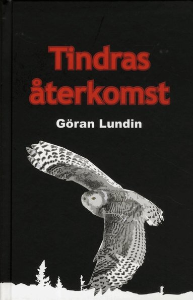 Göran Lundin - Tindras återkomst, Kartonnage