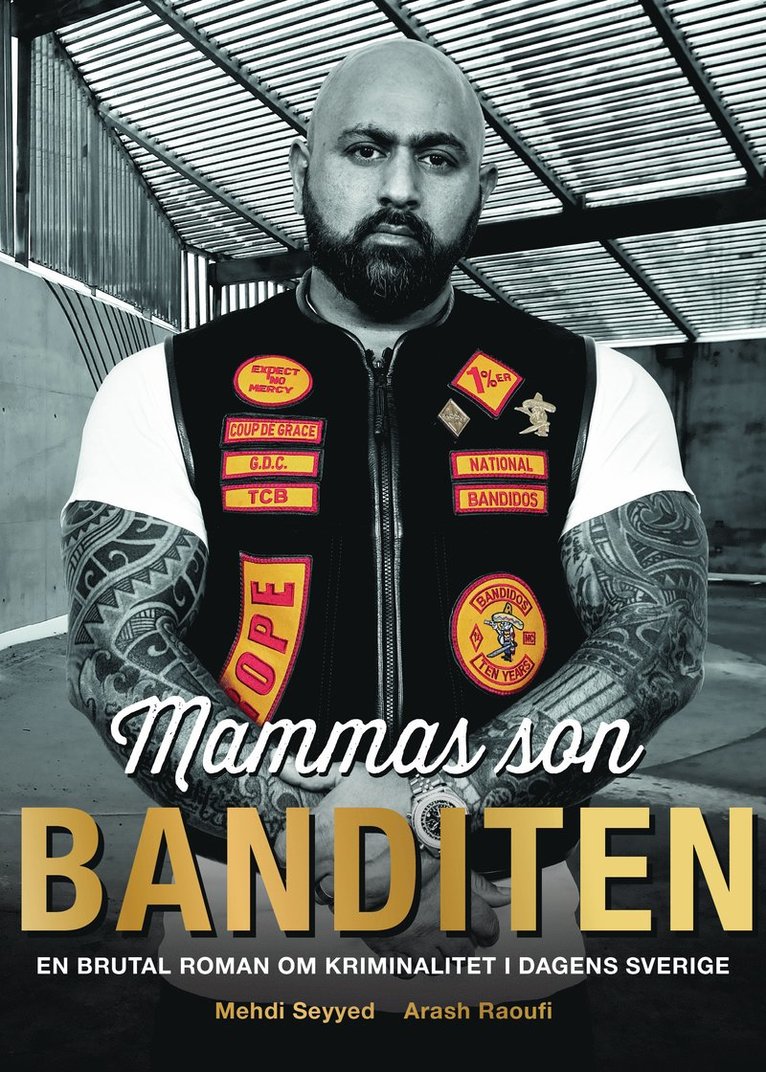 Mammas son banditen : en brutal roman om kriminalitet i dagens Sverige 1