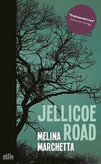 bokomslag Jellicoe Road