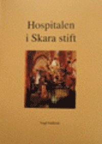 bokomslag Hospitalen i Skara stift