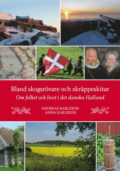 bokomslag Bland skogsrövare och skräppeskitar - Om folket och livet i det danska Halland