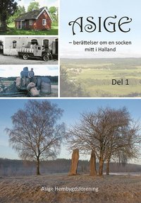 bokomslag Asige - berättelser om en socken mitt i Halland