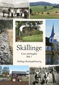 bokomslag Skällinge - Livet och bygden. Bok 1