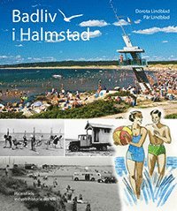 bokomslag Badliv i Halmstad