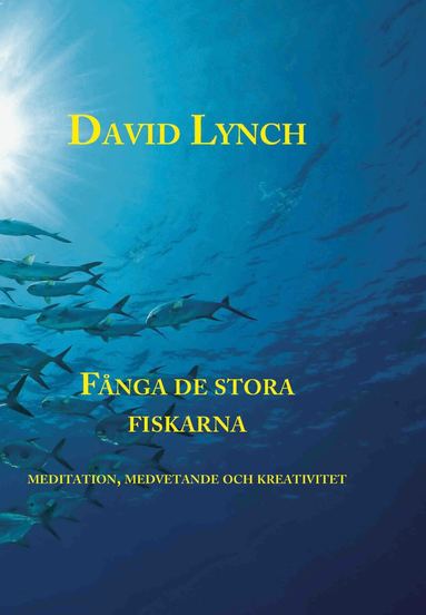 David Lynch - Fånga de stora fiskarna : meditation, medvetande och kreativitet, Kartonnage