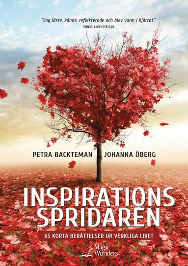 bokomslag Inspirationsspridaren : 65 korta berättelser ur verkliga livet