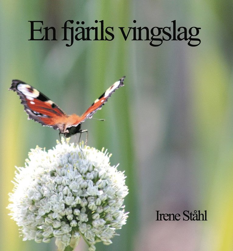 Irene Ståhl - En fjärils vingslag, Kartonnage