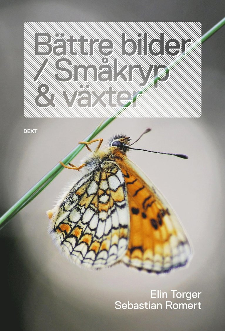 Elin Torger, Sebastian Romert - Bättre bilder / Småkryp och växter, Häftad