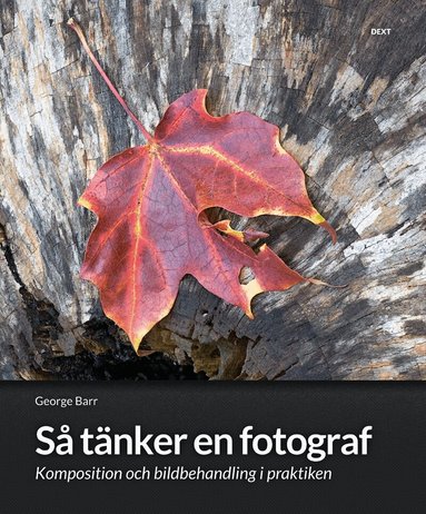 George Barr - Så tänker en fotograf : komposition och bildbehandling i praktiken, Häftad