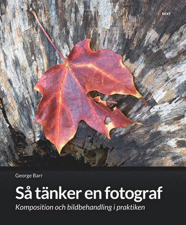 bokomslag Så tänker en fotograf : komposition och bildbehandling i praktiken