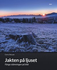 bokomslag Jakten på ljuset : fånga stämningen på bild - skapa uttrycksfulla bilder