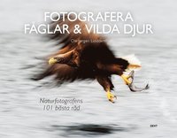 bokomslag Fotografera fåglar & vilda djur: naturfotografens 101 bästa råd