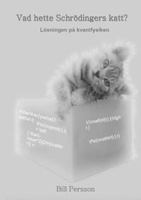 bokomslag Vad hette Schrödingers katt? : lösningen på kvantfysiken
