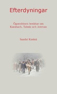 bokomslag Efterdyningar : ögonvittnen berättar om Karabach, Tabriz och Erevan