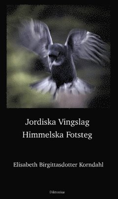 bokomslag Jordiska vingslag Himmelska fotsteg